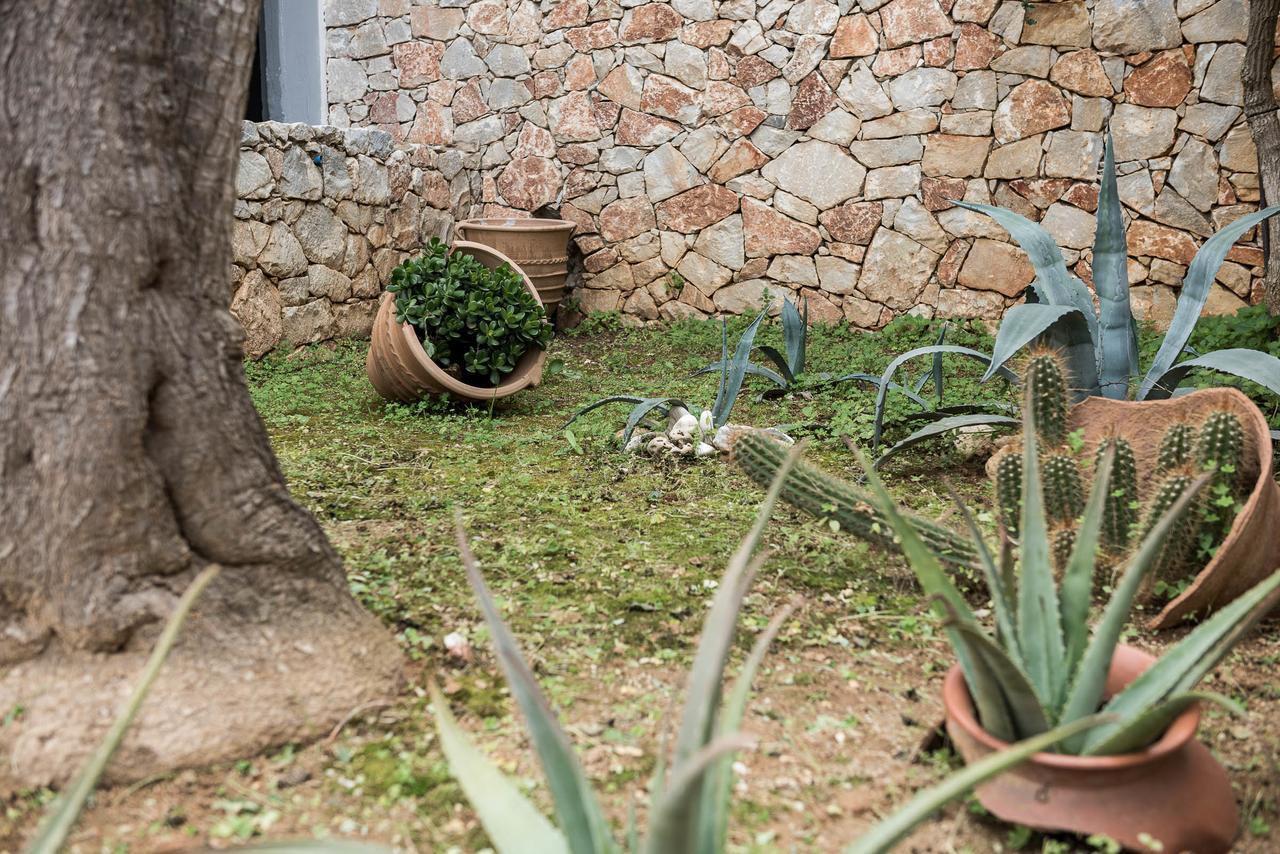 Zen Serenity Retreat With Great Outdoors, Pool & Parking Aptera 외부 사진